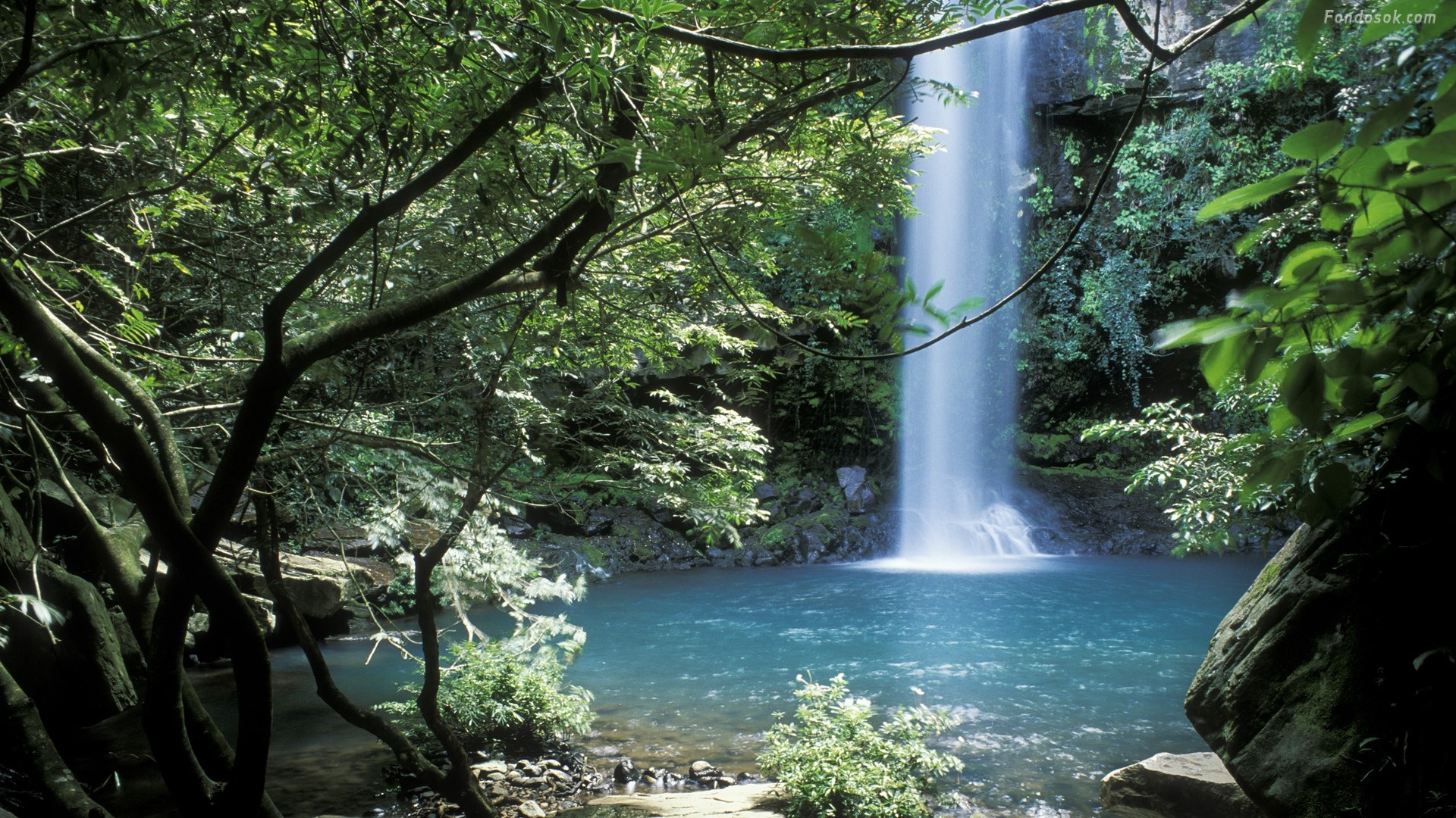 Wallpaper Nature Waterfall Forest Jungle Landscape Costa Rica images  for desktop section природа  download