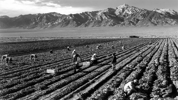 Desktop Ansel Adams Pictures.