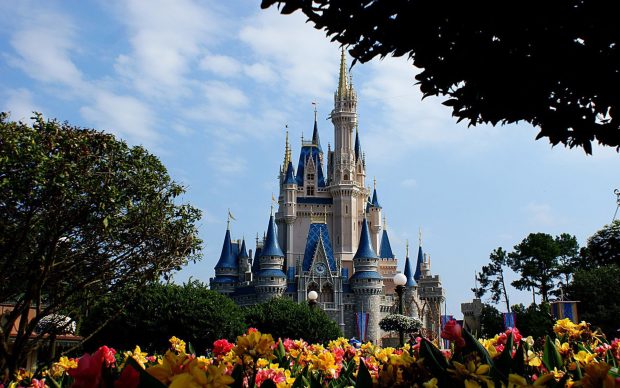 Disneyland disney castle tree sky.