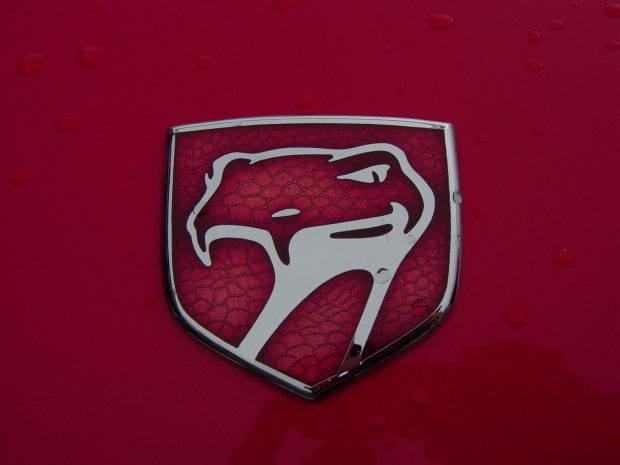 Dodge viper logos hd wallpaper.