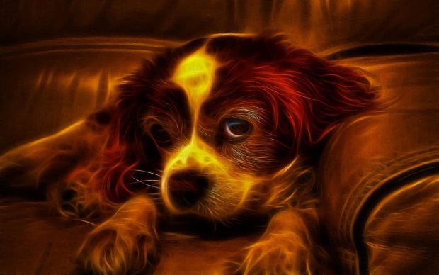 Dog Awesome 3D HD Background.
