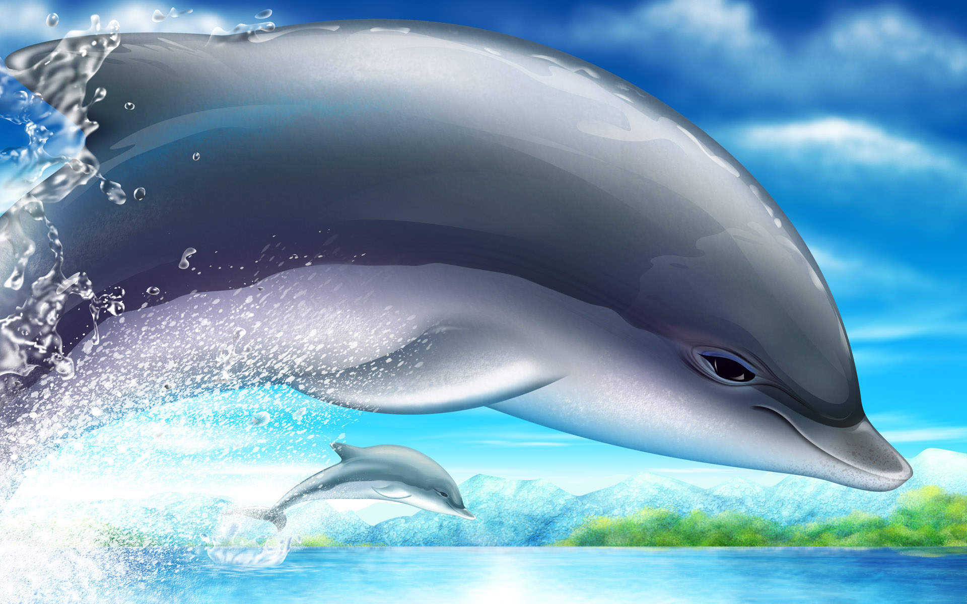 Free Dolphin Backgrounds 