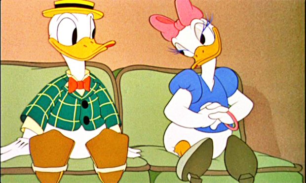 Donald duck and daisy in love wallpaper hd.