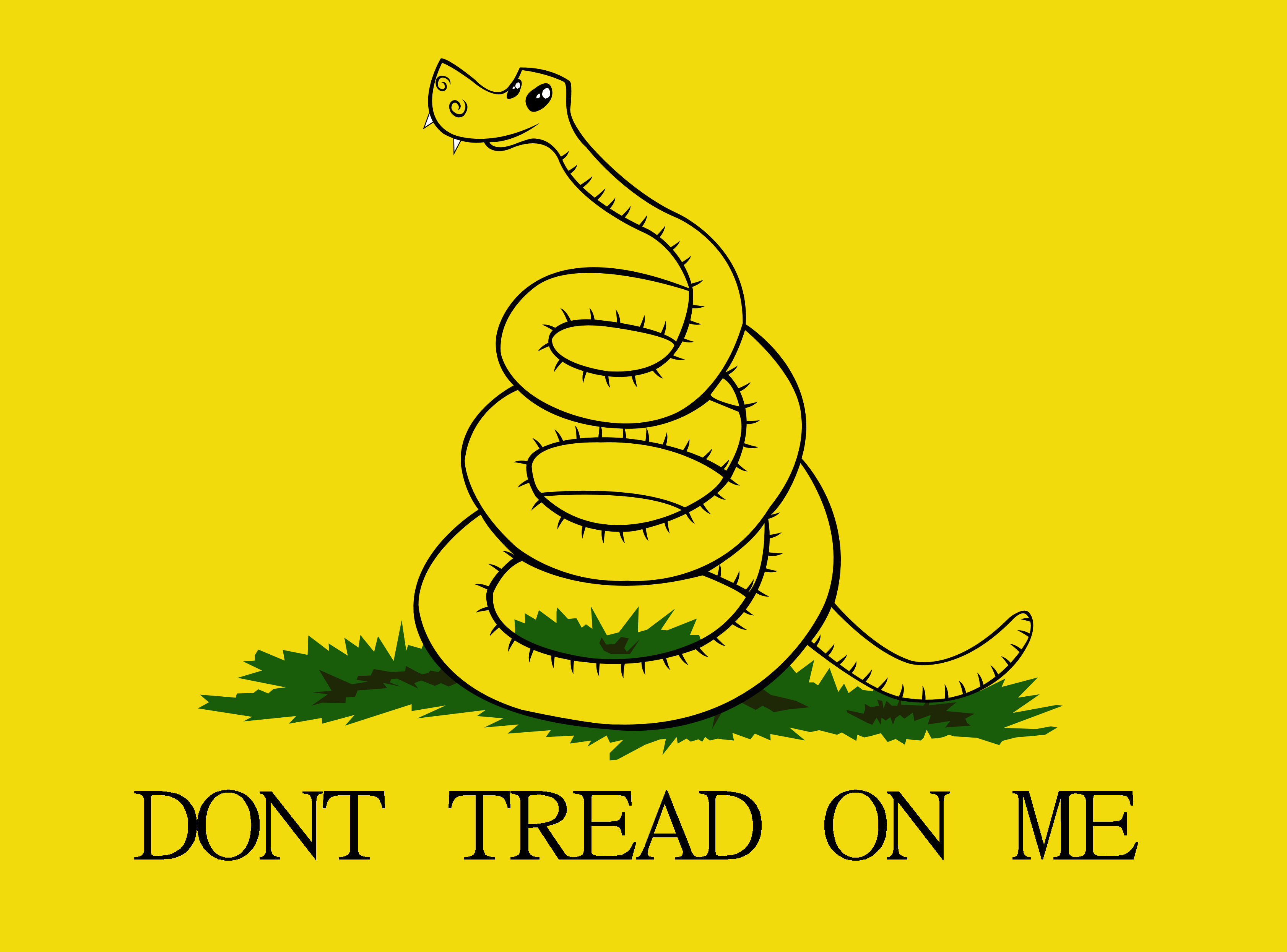 Dont Tread On Me gadsden ron paul flag dont tread on me HD wallpaper   Peakpx