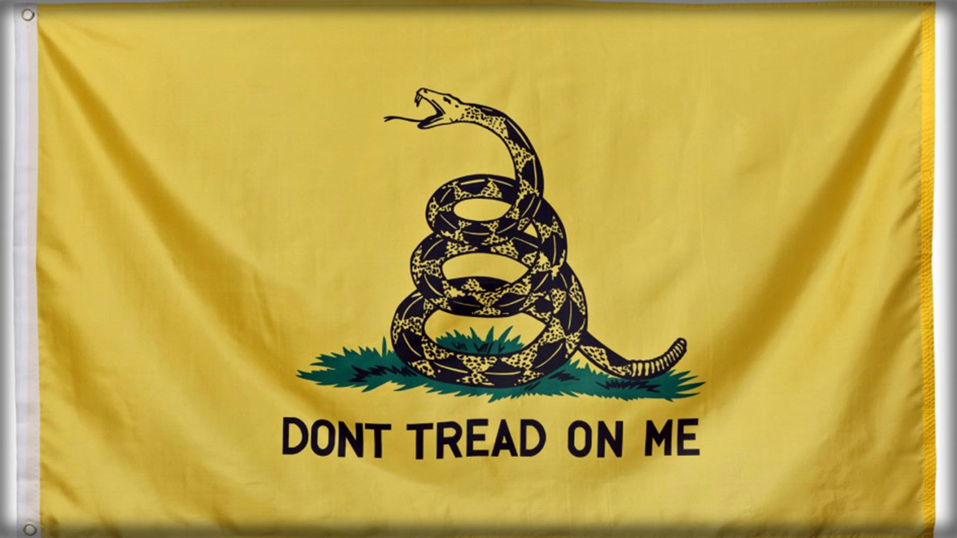 Dont Tread On Me Wallpapers | PixelsTalk.Net