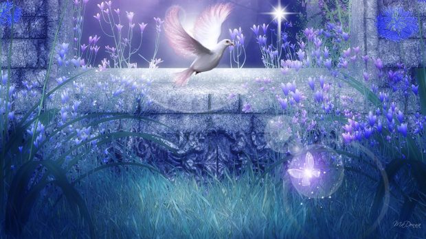 Dove Backgrounds Download Free.