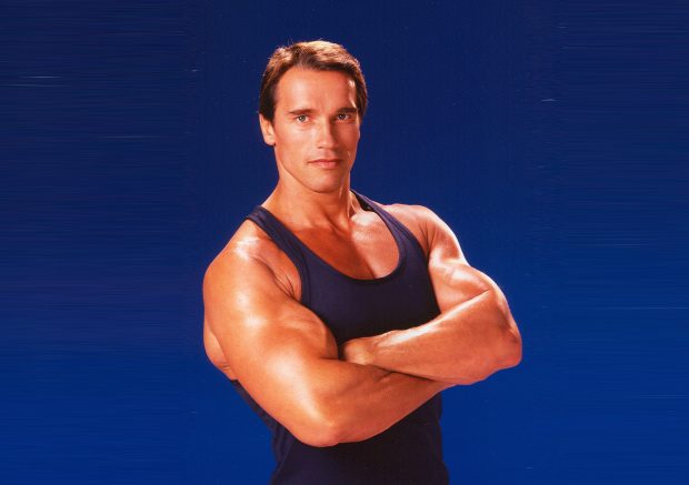 Download Arnold Schwarzenegger Image.