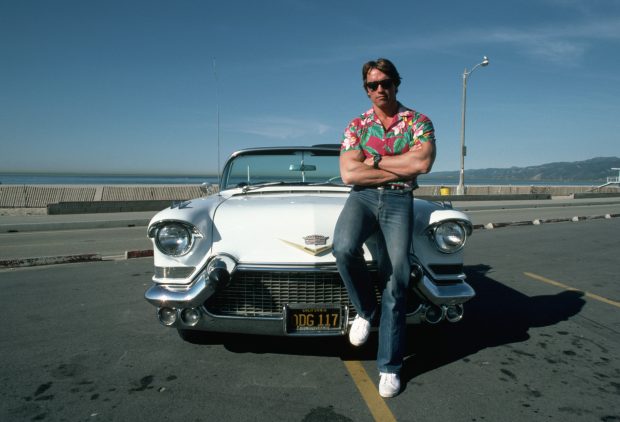 Download Arnold Schwarzenegger Photo.
