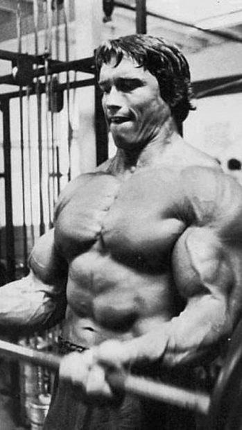 Download Arnold Schwarzenegger Picture for Iphone.