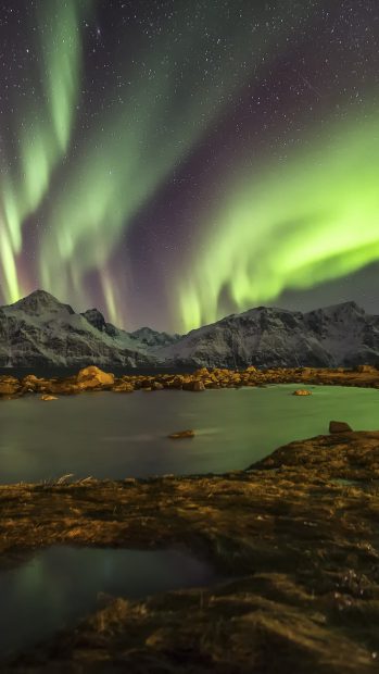 Download Aurora Borealis Picture for Mobile.