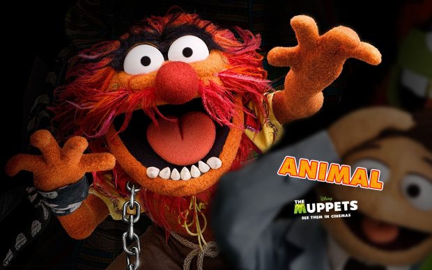 Download Beaker Muppets Image.
