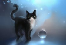 Download Free Anime Cat Wallpaper.