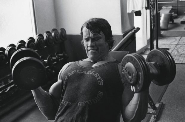 Download Free Arnold Schwarzenegger Wallpaper.