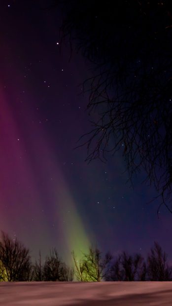 Download Free Aurora Borealis Wallpaper for Mobile.