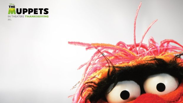 Download Free Beaker Muppets Wallpaper.