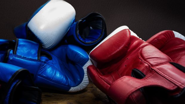 Download Free Boxing Gloves Wallpaper.