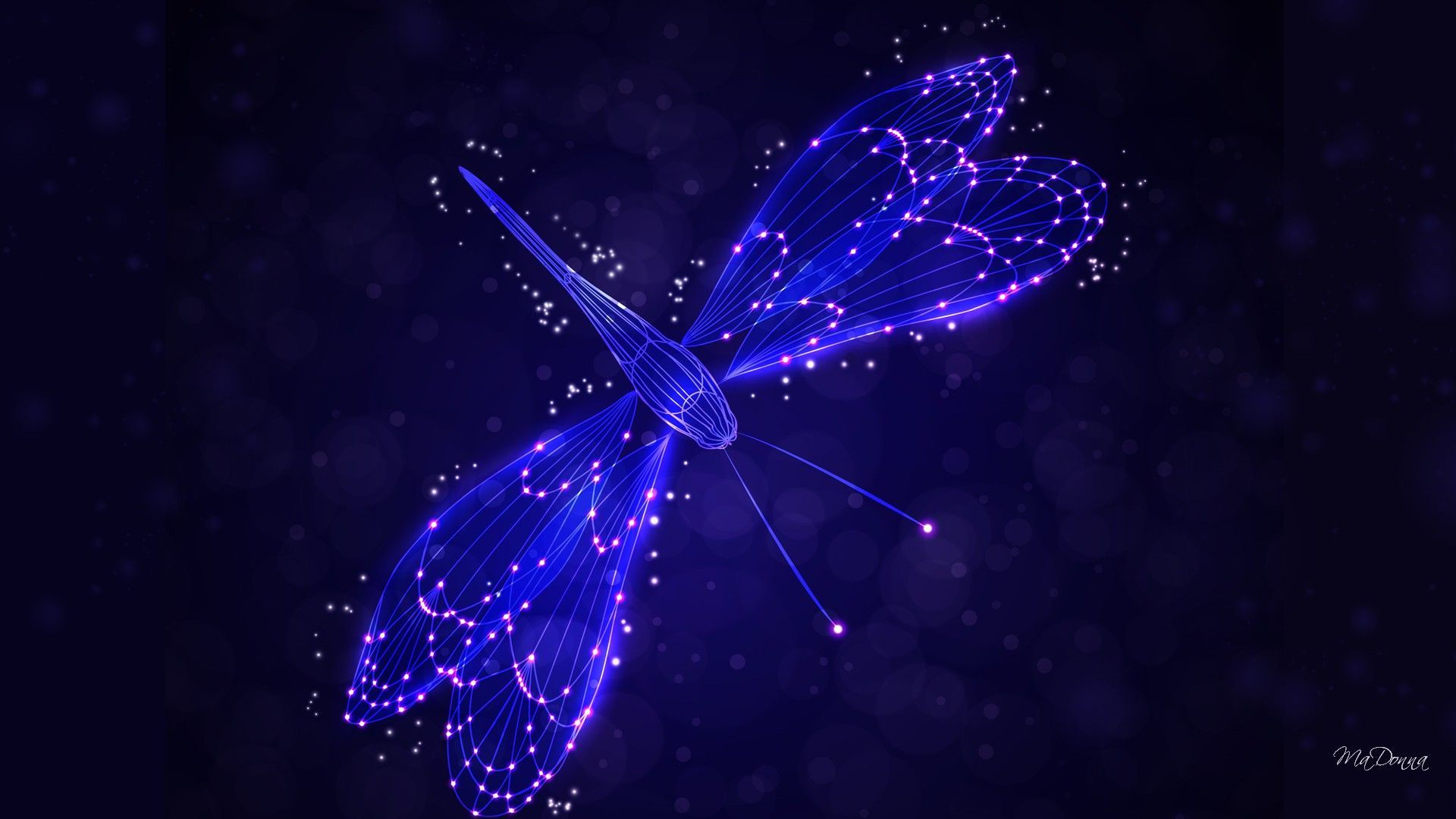 dragonfly-backgrounds-free-download-pixelstalk-net
