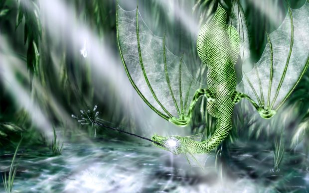 Fantasy dragons 3d fresh new hd wallpaper best quality.