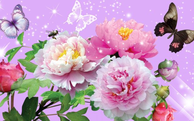 Floral shine peonies sparkles stars summer flowers peony butterflies pride butterfly firefox persona wallpaper.