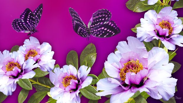 Flowers joy purple pink flowers summer magenta bright floral background.