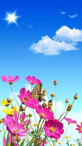 Flowers sky butterflies balloons 1080x1920.