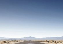 Ford Shelby HD Wallpaper iPhone.