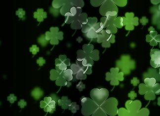 Four Leaf Clover Backgrounds.