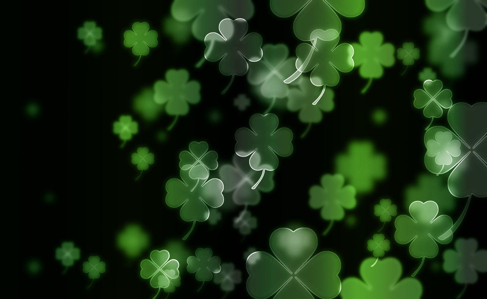 Free Download Four Leaf Clover Wallpapers HD 