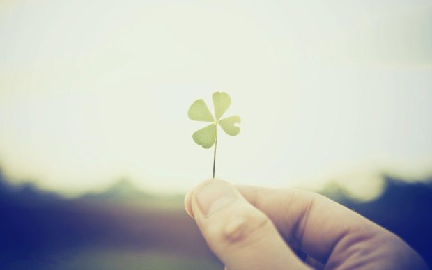Four Leaf Clover Wallpapers Free Download.