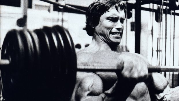 Free Arnold Schwarzenegger Photo.