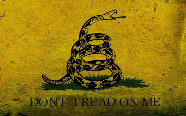 Gadsden flag Dont tread on me 2560x1600.