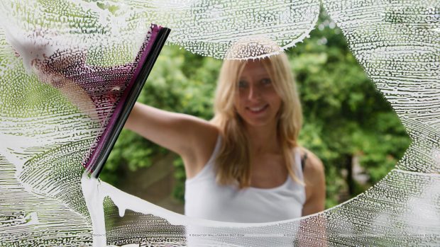 Girl Cleaning Window With Viper.