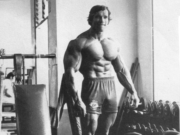 HD Arnold Schwarzenegger Wallpaper.
