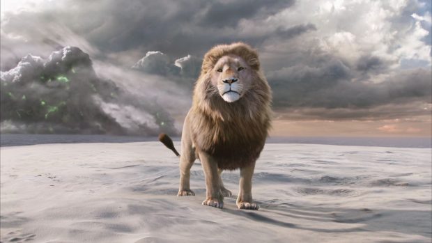 HD Aslan Narnia Wallpaper.