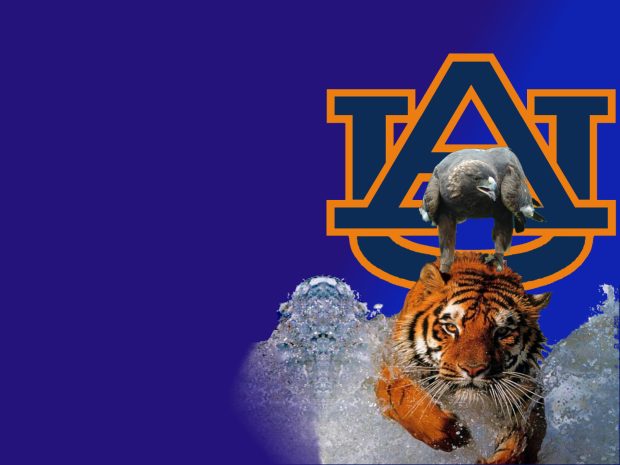 HD Auburn Tigers Football Wallpaper.