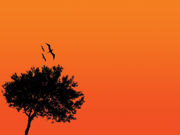 HD Black and Orange Background.