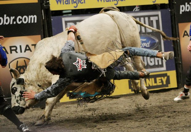 HD Bull Riding Wallpapers.