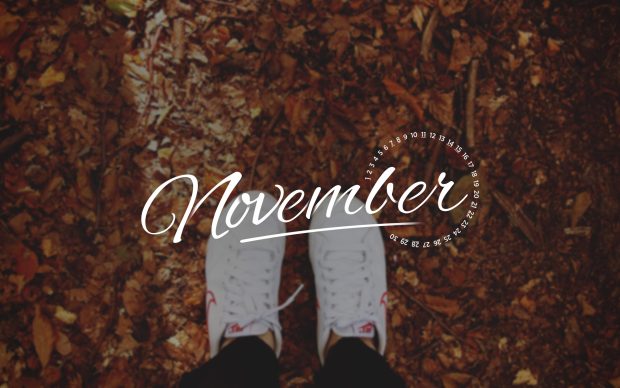 HD Wallpapers November.
