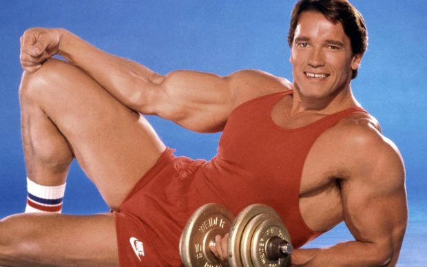 Handsome Arnold Schwarzenegger Image.