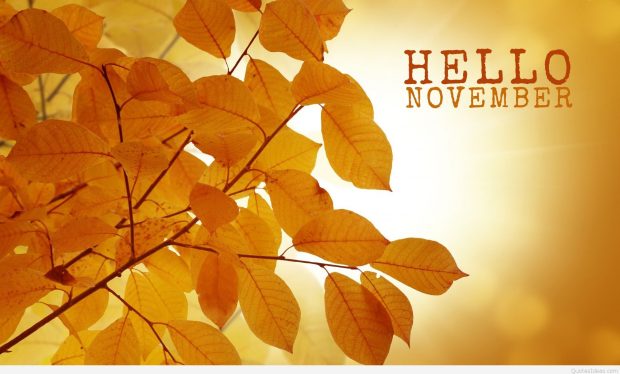 Hello November wallpaper HD.