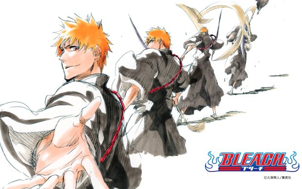 High Resolution Bleach Ichigo.