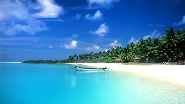 Hot Beach Wallpapers HD Wallpaper.