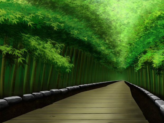 Image of Bamboo Forest.