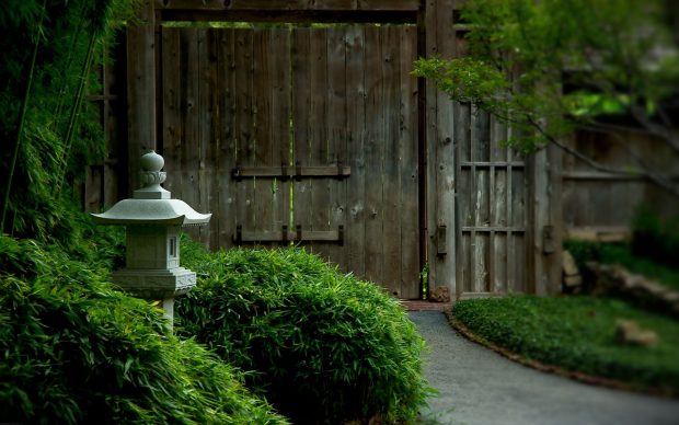 Images garden door.