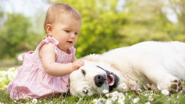 Lovely Baby Playing with Dog in Garden HQ.