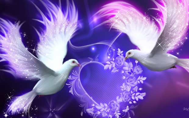 Lover purple doves birds animal.