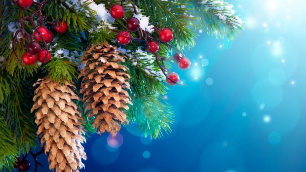 New Year Christmas tree decoration snow twigs berries 1920x1080.