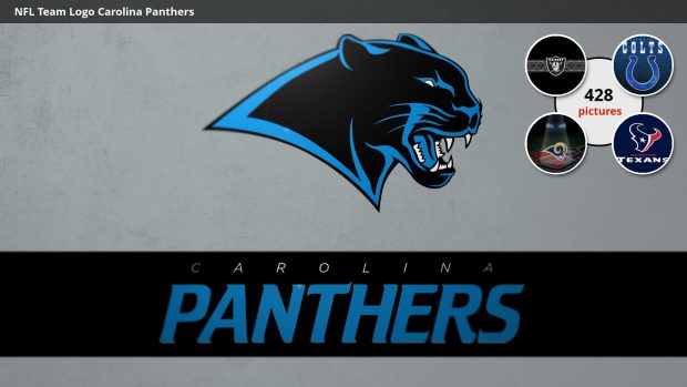 Nfl team logo carolina panthers photos.