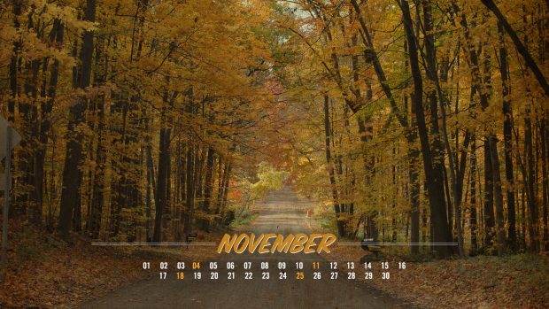 November Wallpapers HD.