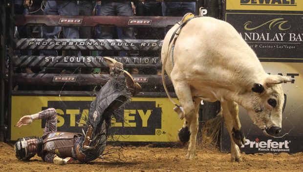 Photos Bull Riding HD.